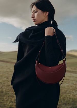 Torba Crossbody Polène Numéro Dix - Edition Smooth Cherry | VWRUD-1735